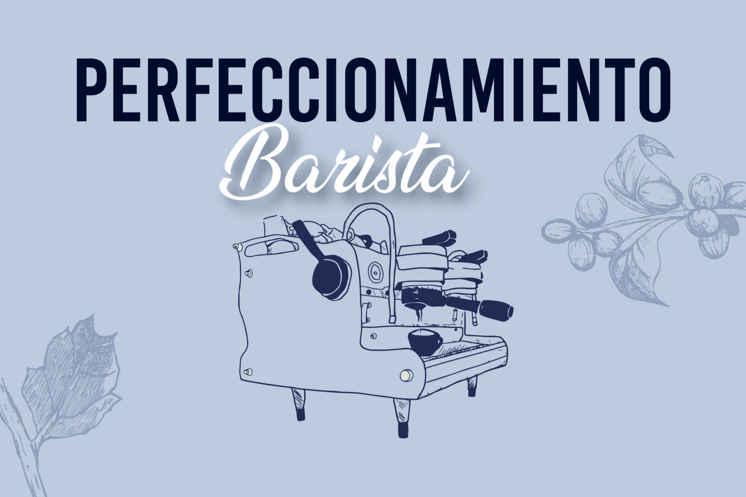 2 perfeccionamiento
